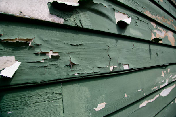 Best Wood Siding Installation  in Winston Salem, NC