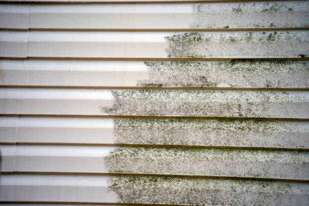 Best Engineered Wood Siding  in Winston Salem, NC