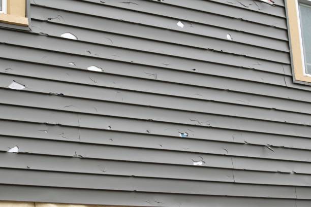 Best Steel Siding Installation  in Winston Salem, NC